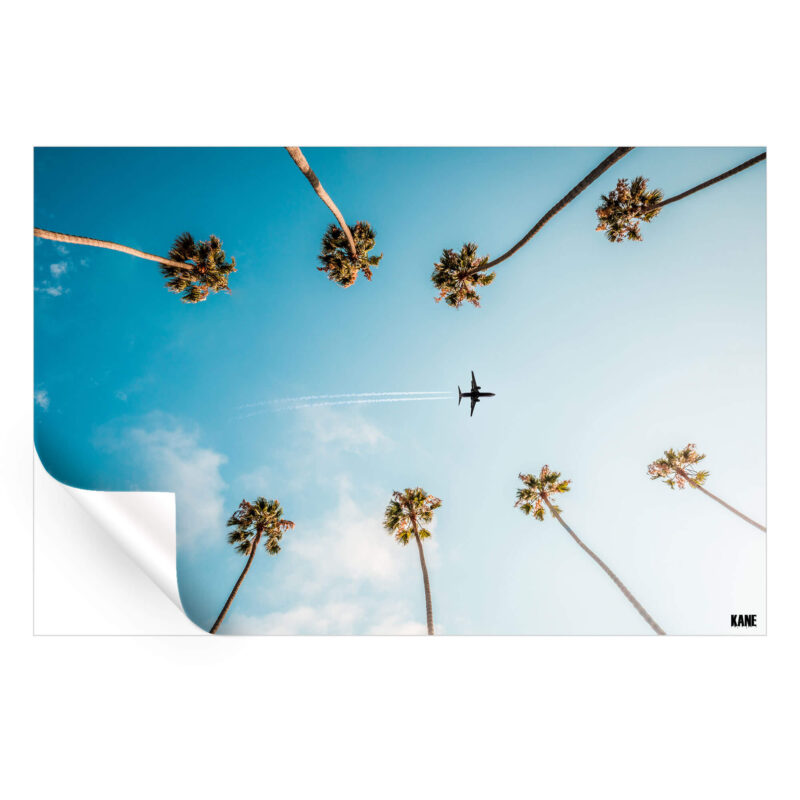 Palm Flight Cool Wall Art by Kane C. Andrade