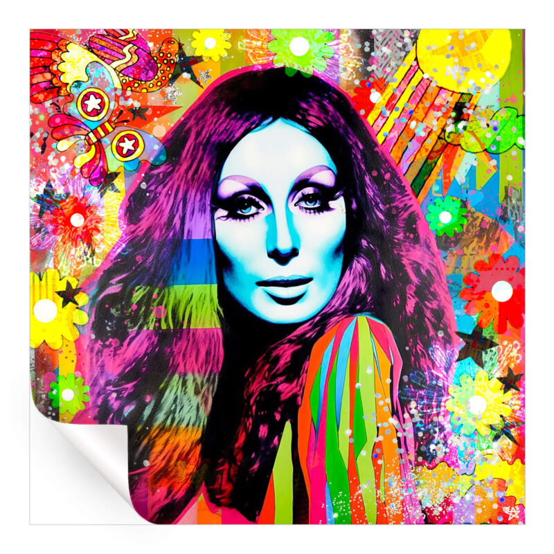 Colorful Cher Vibrant Wall Art by Jessica Stempel