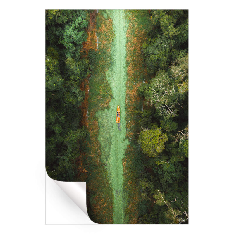 Green River Green Wall Art by Paige Tingey