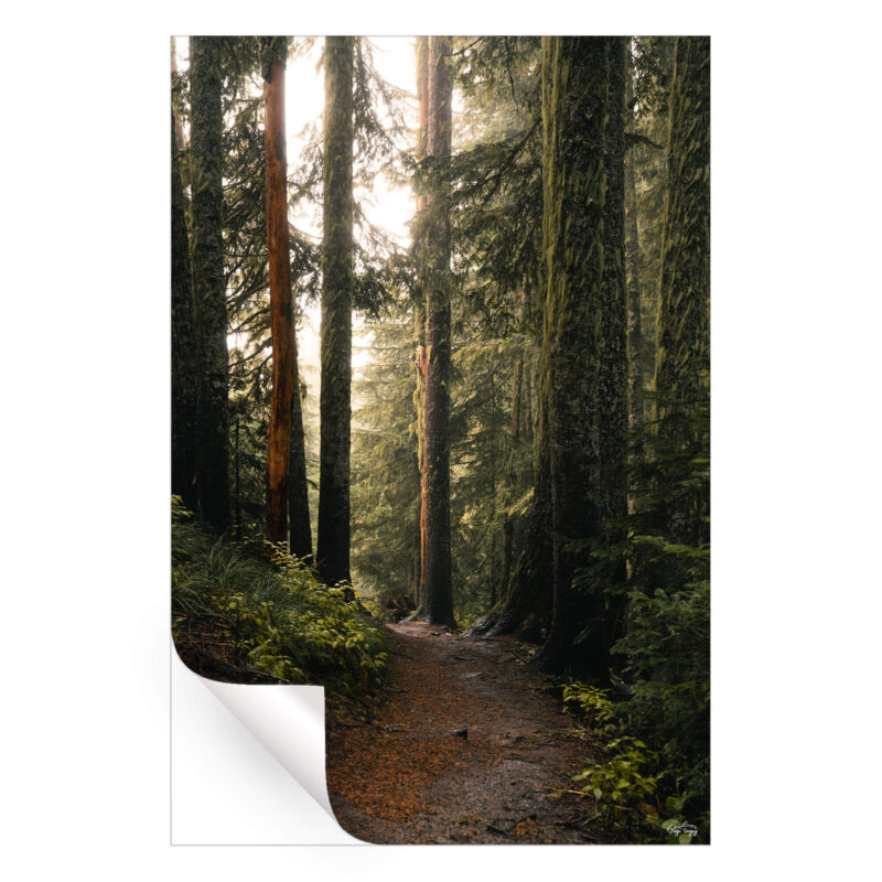 Morning Stroll Green Wall Art by Paige Tingey