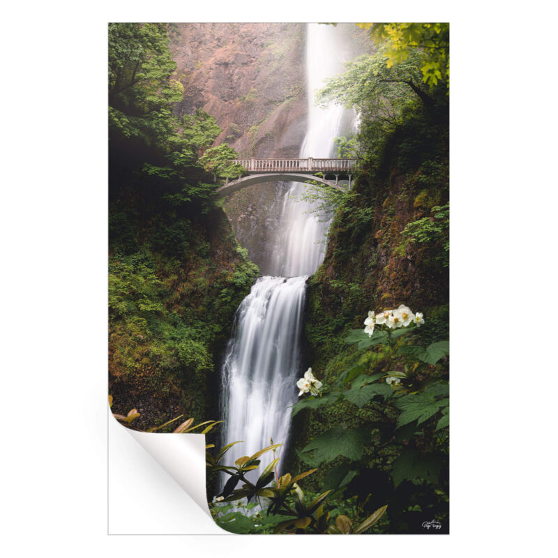 Fairytale Vibrant Wall Art by Paige Tingey