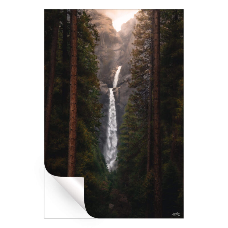 Falling Between the Trees Dark Wall Art by Paige Tingey