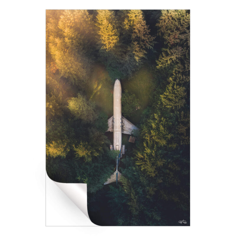Plane Green Wall Art by Paige Tingey