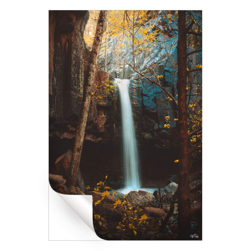 Autumn Fall Brown Wall Art by Paige Tingey