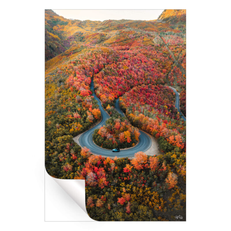Autumn Road Warm Wall Art by Paige Tingey