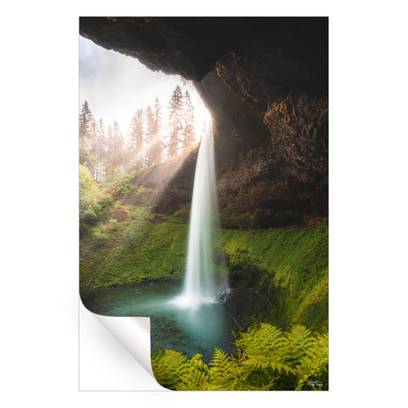 Falling Elegance Vibrant Wall Art by Paige Tingey