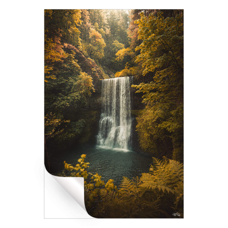 Soft Mornings Warm Wall Art by Paige Tingey