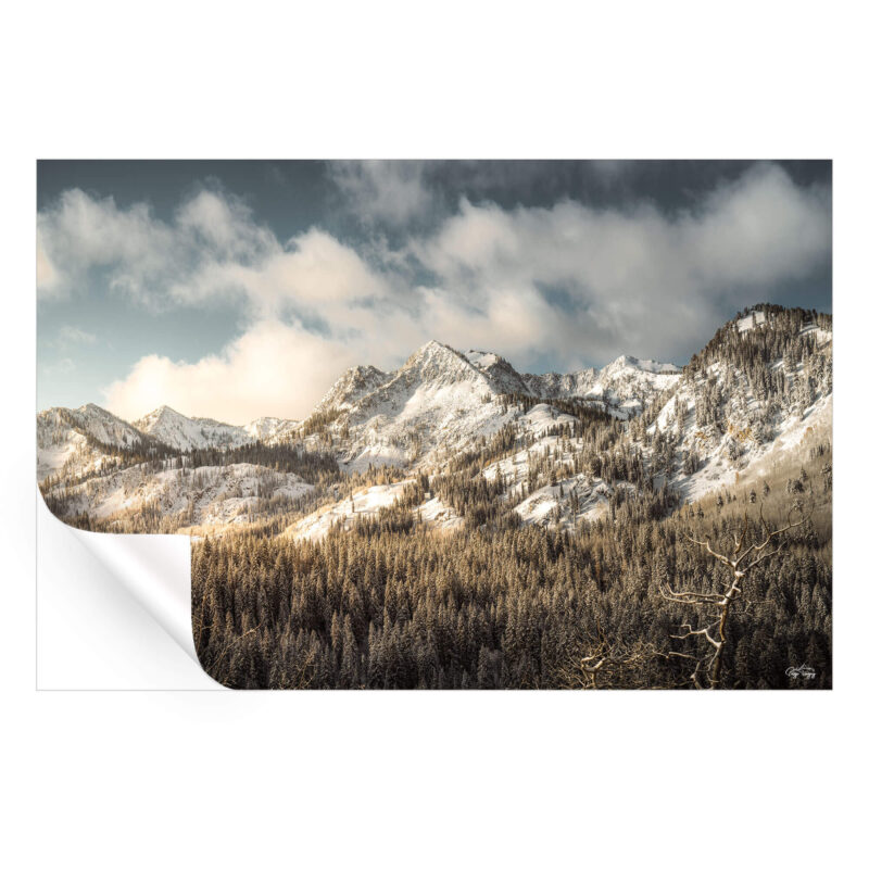 Snowy Peaks Cool Wall Art by Paige Tingey