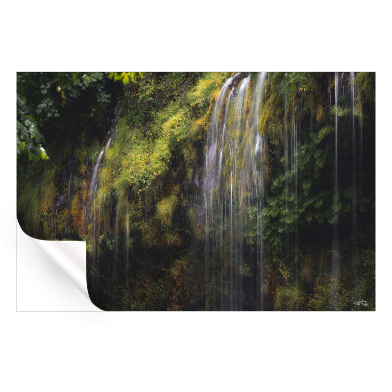 The Little Things Green Wall Art by Paige Tingey