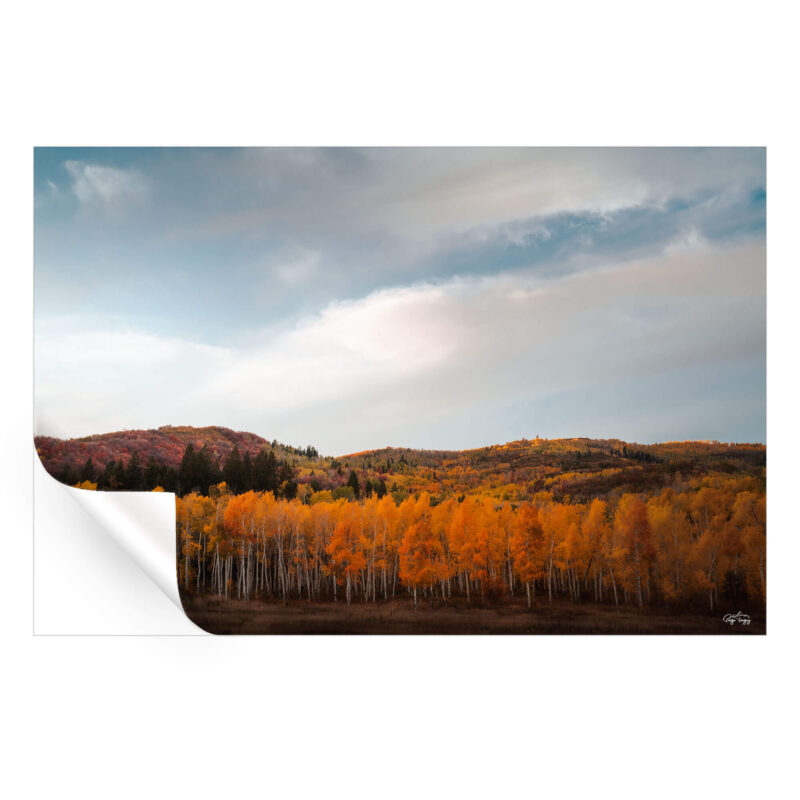 Autumn Hills Warm Wall Art by Paige Tingey