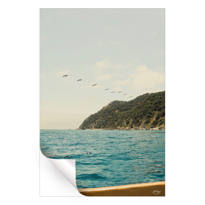 Catalina Island Wall Art by Zachary Snellenberger