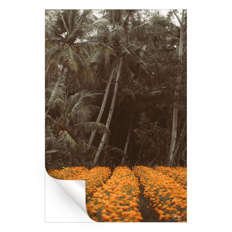 Bali Warm Wall Art by Zachary Snellenberger