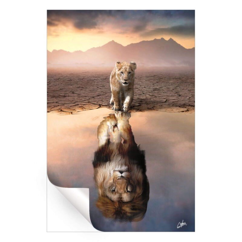 Lion Reflection Warm Wall Art by Zenja Gammer