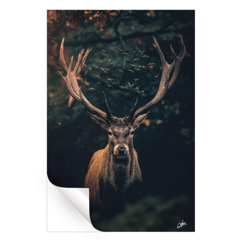 Moody Deer Dark Wall Art by Zenja Gammer