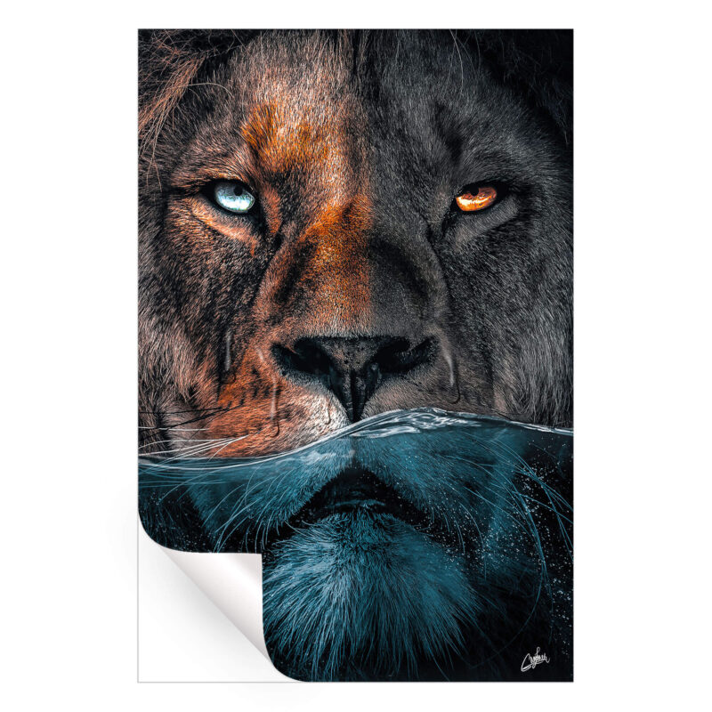 Underwater Lion Dark Wall Art by Zenja Gammer