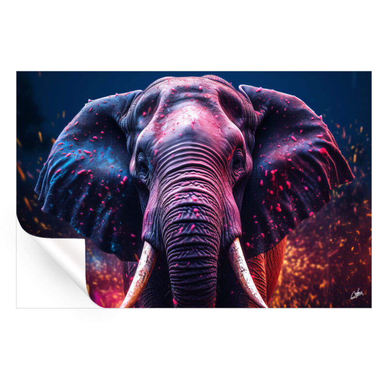 Warrior Colorful Wall Art by Zenja Gammer