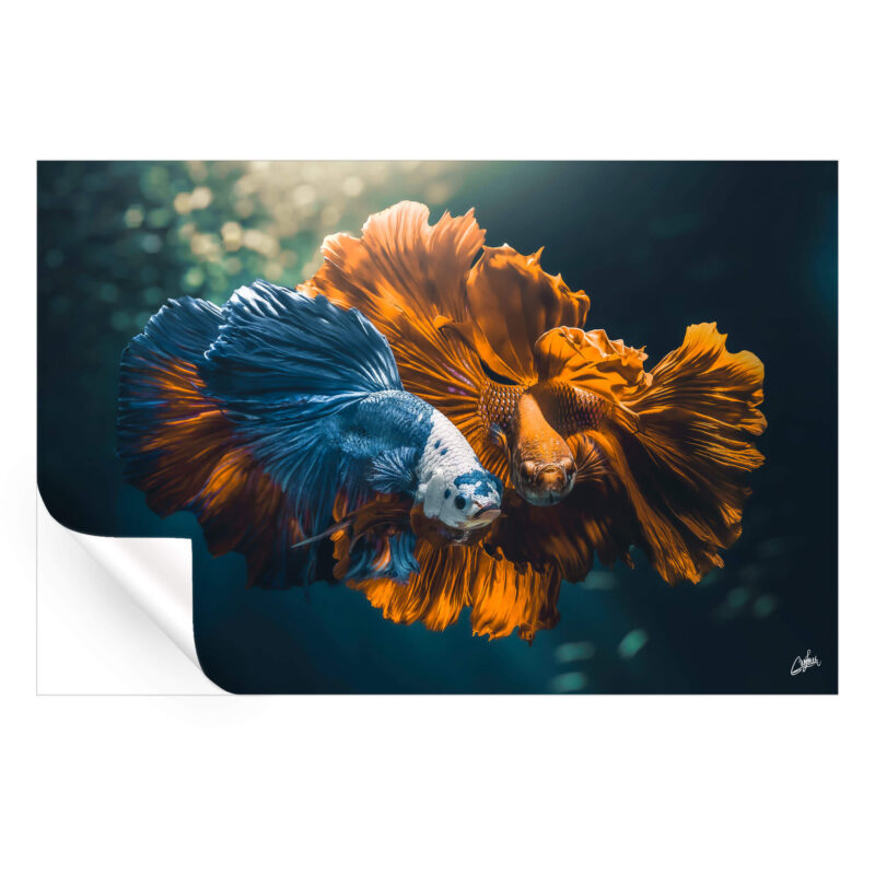 Colorful Love Vibrant Wall Art by Zenja Gammer