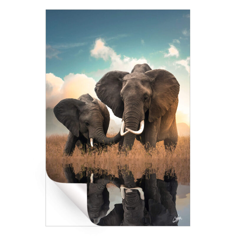 Elephant Love Wall Art by Zenja Gammer