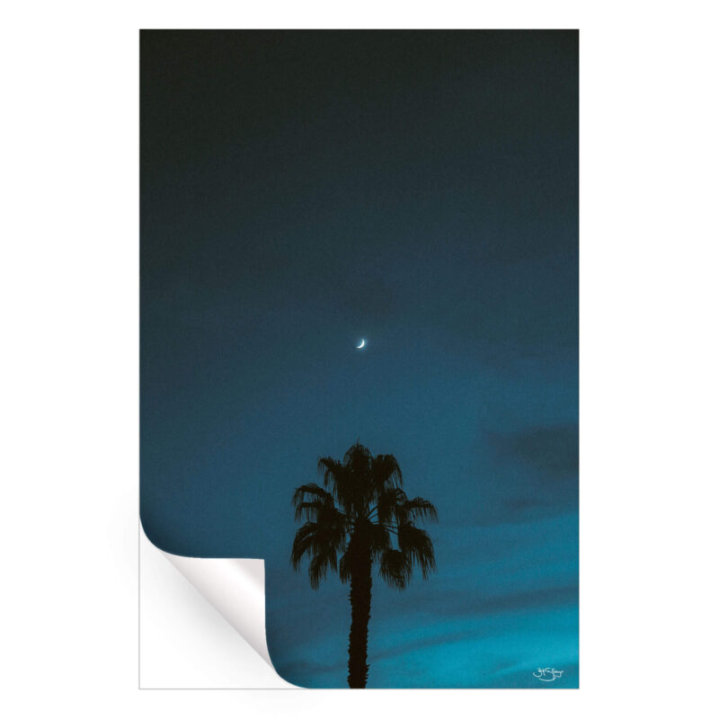 Midnight Moon Dark Wall Art by Zachary Snellenberger