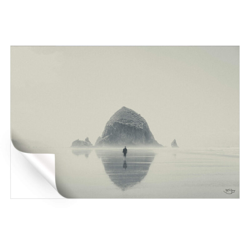 Gone Black and White Wall Art by Zachary Snellenberger