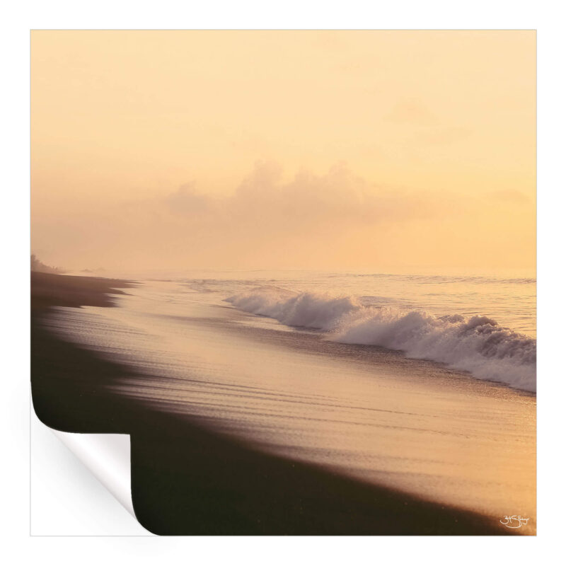 Golden Sunrise Warm Wall Art by Zachary Snellenberger