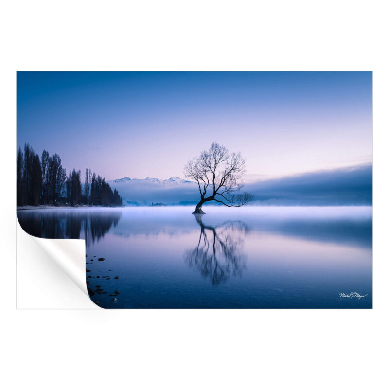 Wanaka Tree Vibrant Wall Art by Michael Meyers