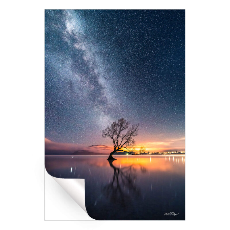 Wanaka Tree Milky Way Dark Wall Art by Michael Meyers