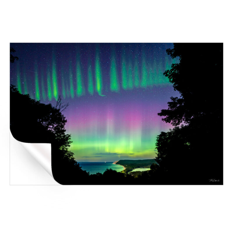 Awakening Bear Vibrant Wall Art by Michigan Sky Media