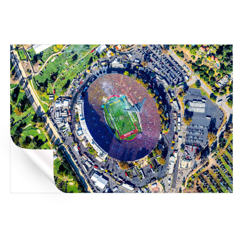 For All The Roses Wall Art by Michigan Sky Media