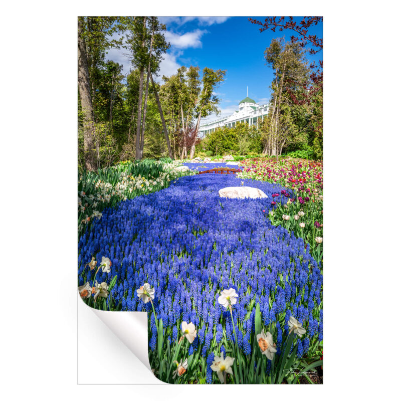 The Secret Garden Purple Wall Art by Michigan Sky Media