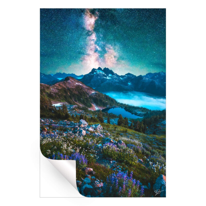 Starry Alpine Dreamland Cool Wall Art by Zach Doehler