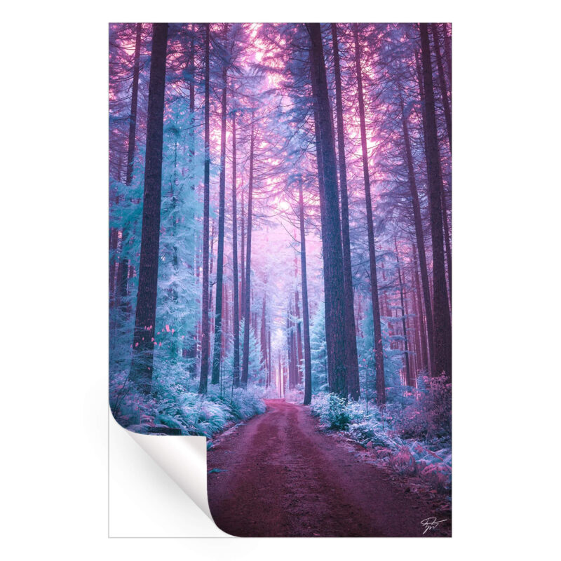 The Forest of Ice Cool Wall Art by Zach Doehler