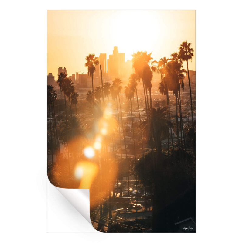 Angeles City Warm Wall Art by Ryan Ditch