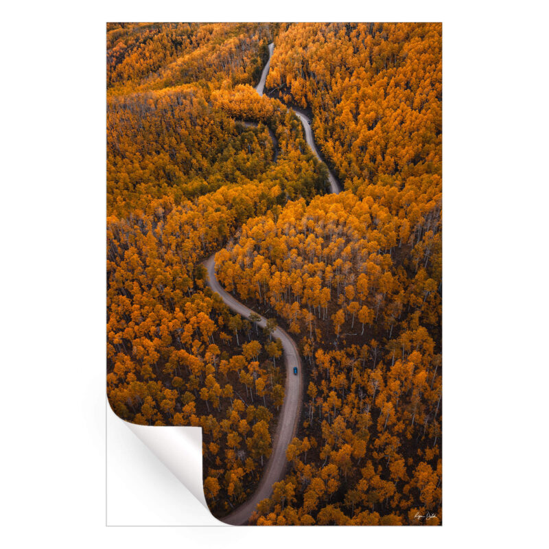 Autumn Drives Warm Wall Art by Ryan Ditch