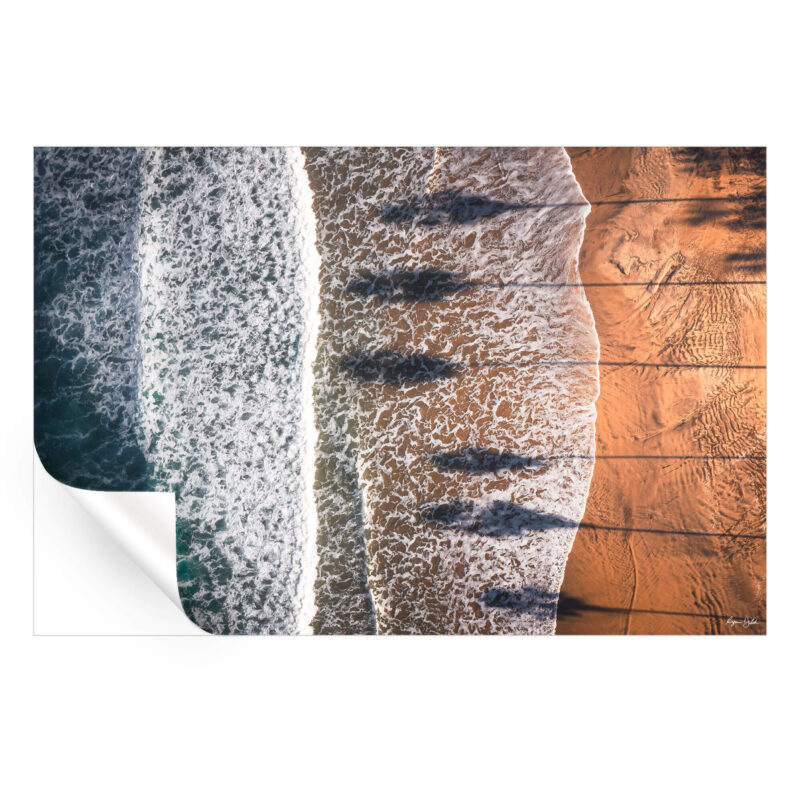 Palm Shadows Warm Wall Art by Ryan Ditch