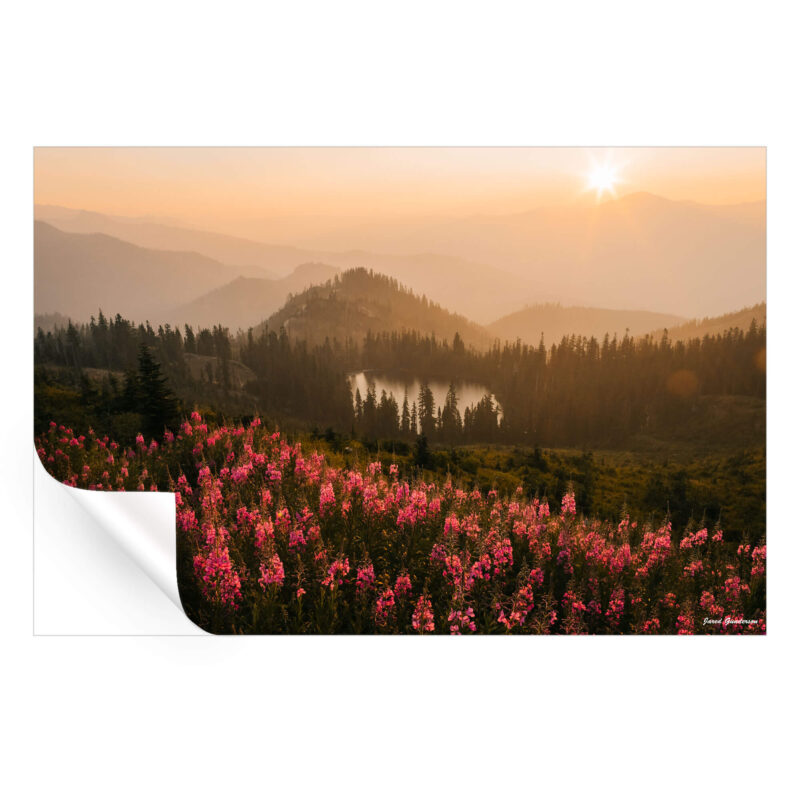 Wildflower Island Warm Wall Art by Jared Q. Gunderson