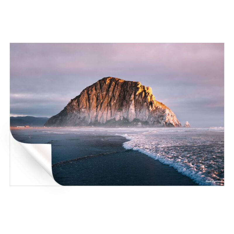 California Dreamin' Cool Wall Art by Jared Q. Gunderson