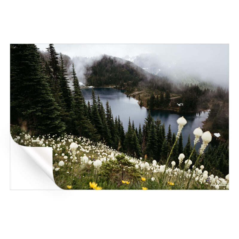 Wildflower Overlook Cool Wall Art by Jared Q. Gunderson