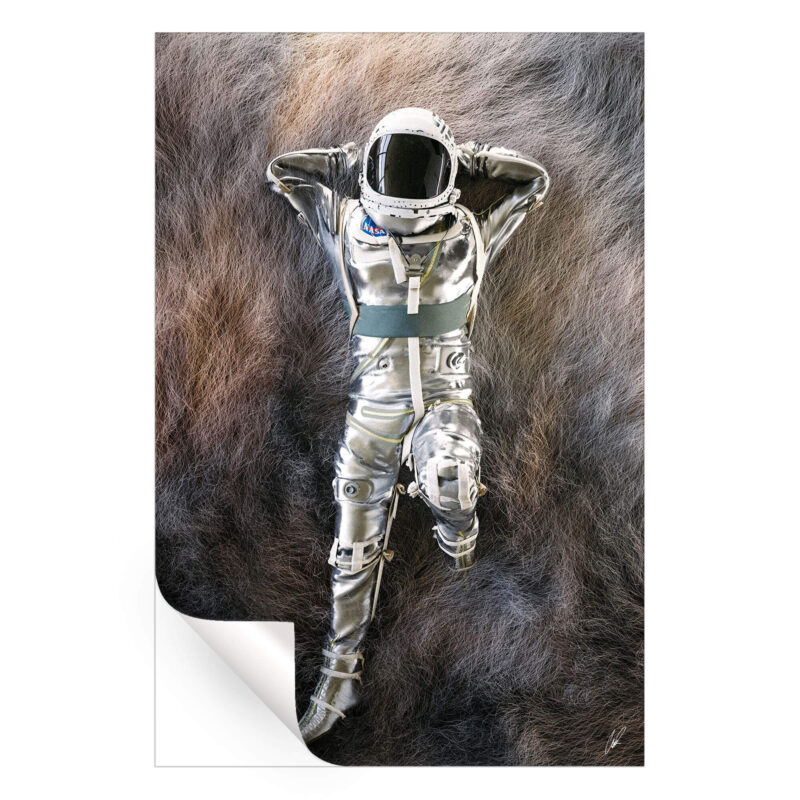 Astro Fur Rug Warm Wall Art by CaptvArt