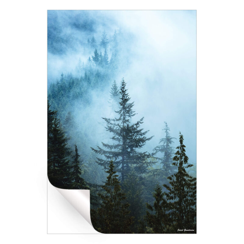 Hazy Treetops Cool Wall Art by Jared Q. Gunderson