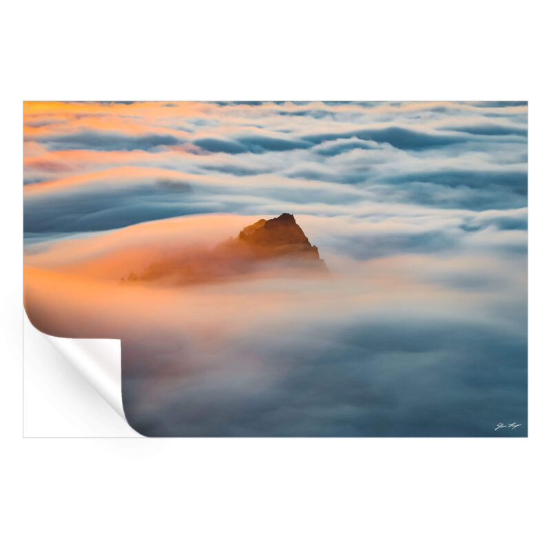 Sea of Dreams Warm Wall Art by Devon Loerop