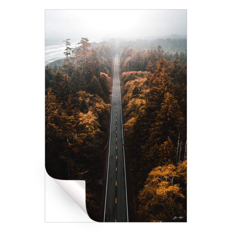 Aerial Trails Dark Wall Art by Devon Loerop