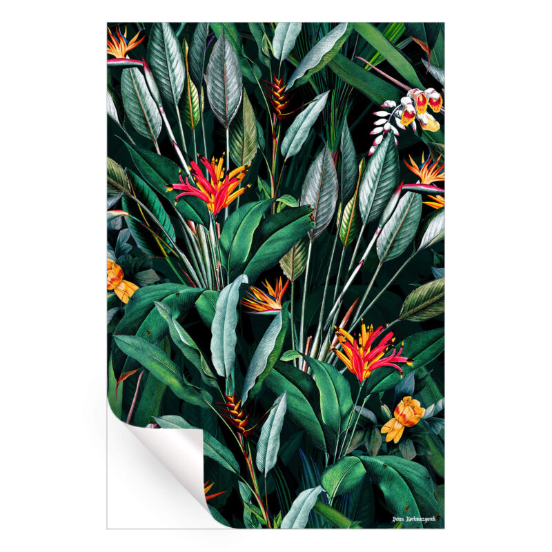 Midnight Garden V Dark Wall Art by Burcu Korkmazyurek