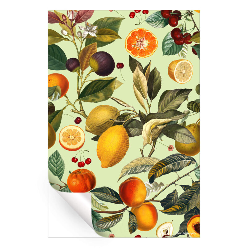 Vintage Fruit Pattern XIII Warm Wall Art by Burcu Korkmazyurek