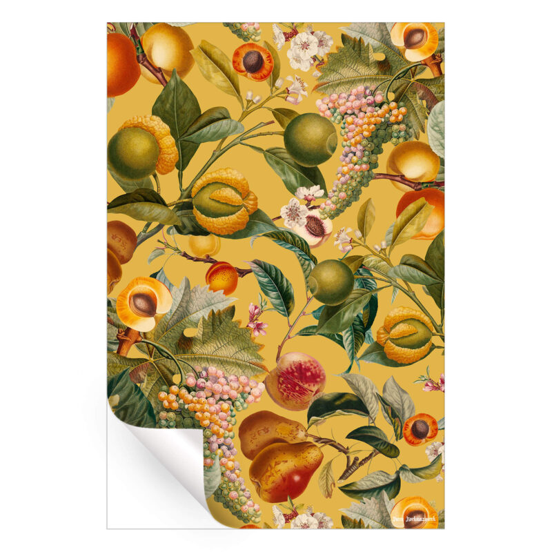 Vintage Fruit Pattern XXVIII Colorful Wall Art by Burcu Korkmazyurek