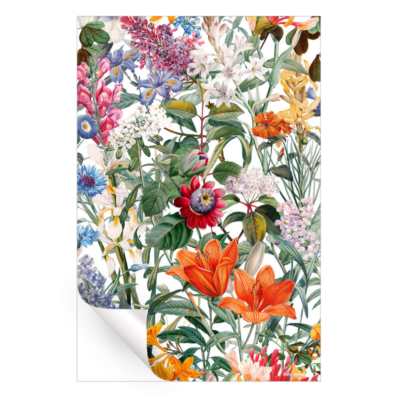 Vintage Garden IX Colorful Wall Art by Burcu Korkmazyurek