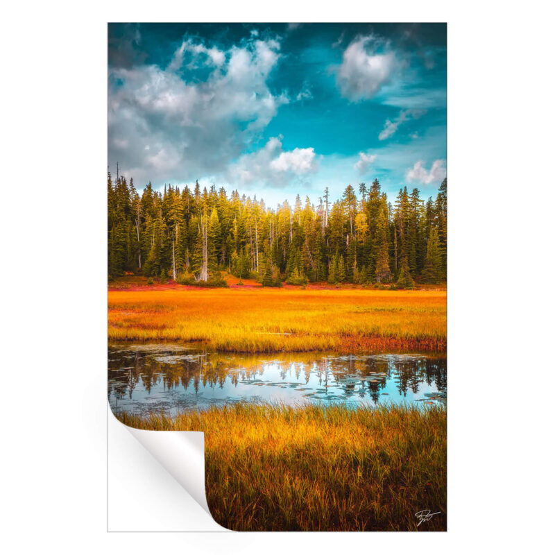 Colorful Simplicity Vibrant Wall Art by Zach Doehler