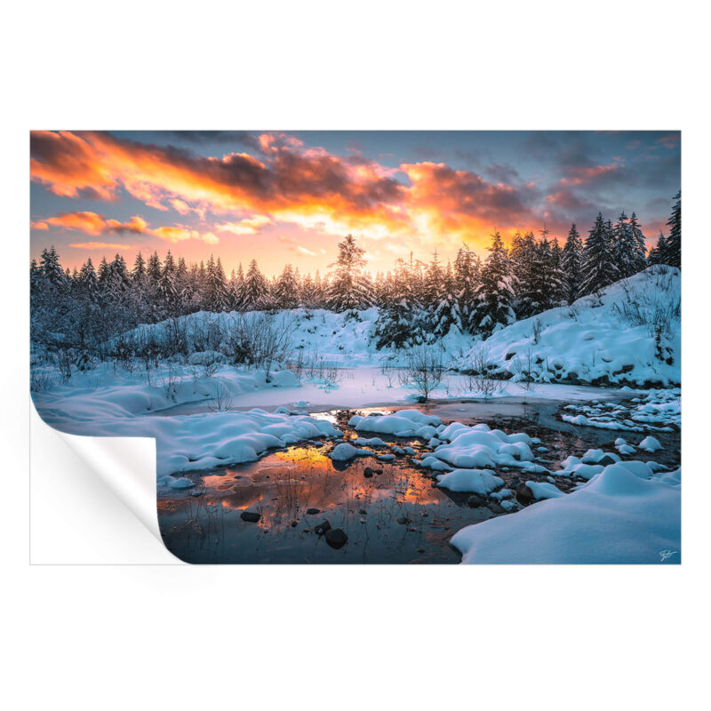 Frost and Fire Warm Wall Art by Zach Doehler