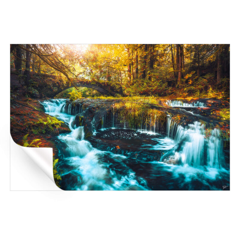 Hidden Cascades Warm Wall Art by Zach Doehler