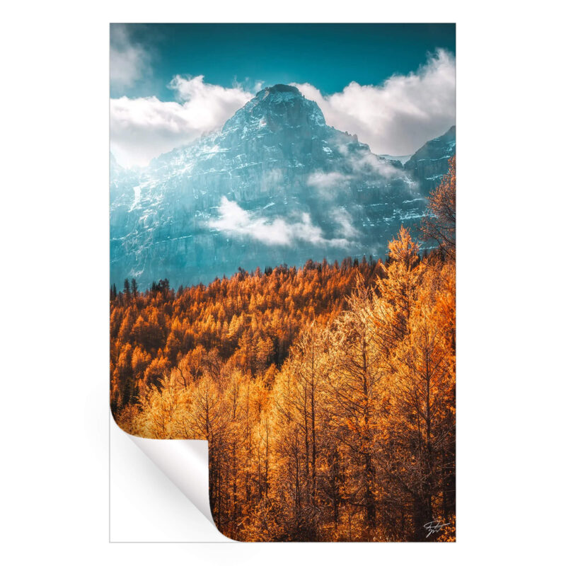 The Golden Forest Vibrant Wall Art by Zach Doehler